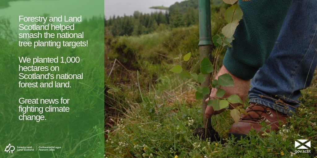 ForestryLS's tweet photo. .@FergusEwingMSP today announced super news in that Scotland has surpassed its tree planting targets. @forestryls is chuffed to bits because it contributed a significant amount to this by planting 1,000 hectares - about 2 million trees! #climatechange #ClimateEmergency https://t.co/FBamDiu1Fw