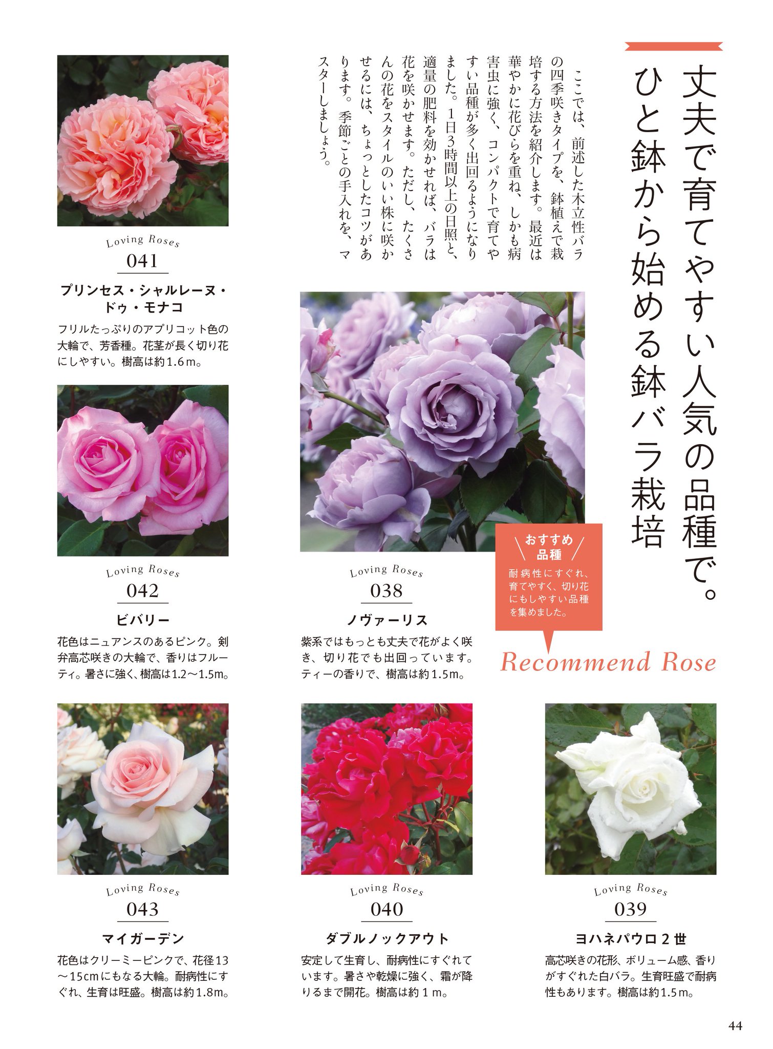 花時間 バラ を飾ったり 育てたり ドライフラワー にしたり お菓子を作ったり バラでできることを1冊にまとめました 花時間 花時間19 バラを楽しむ本 バラの本 バラのアレンジ バラを育てる バラのお菓子 バラのドライフラワー 花好き