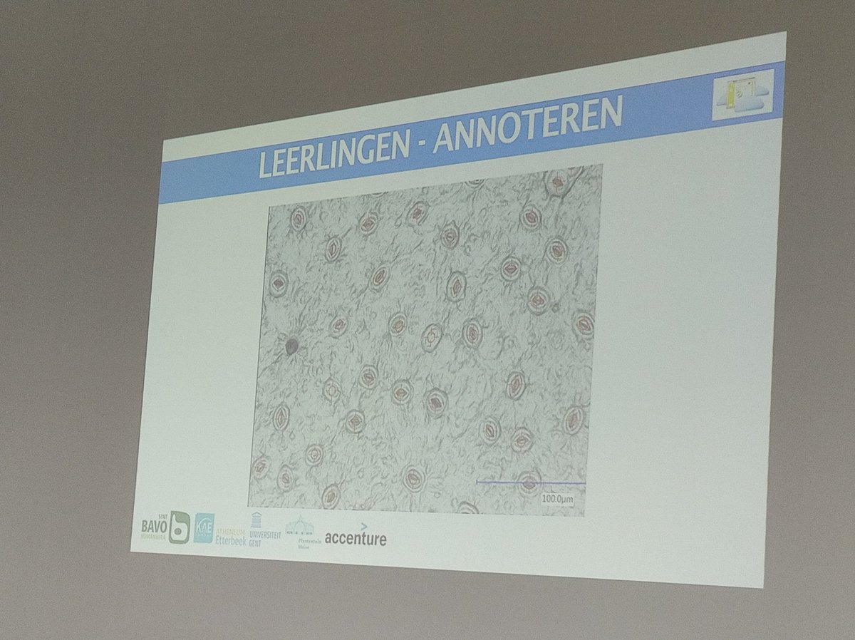 fwyffels's tweet photo. Natacha van @SintBavoGent geeft op @2LinK2be uitleg bij het #AI-project KIKS in samenwerking met @IDLabResearch #plantentuinmeise #woodlab https://t.co/Lof5faNqXF