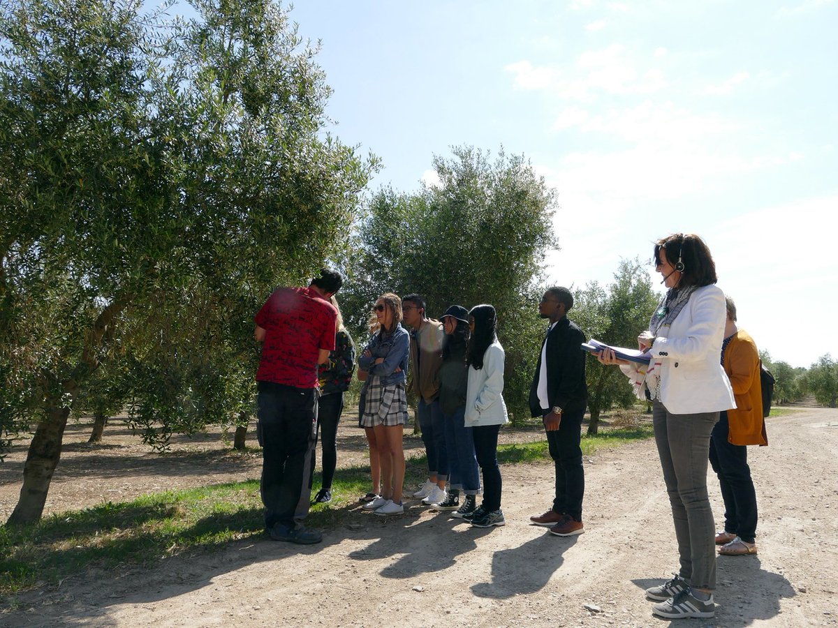CIHEAMZaragoza's tweet photo. Discovering premium EVOO at Hacienda Queiles with @MABS_Summer students #MABS19 https://t.co/nORhvZdkaT