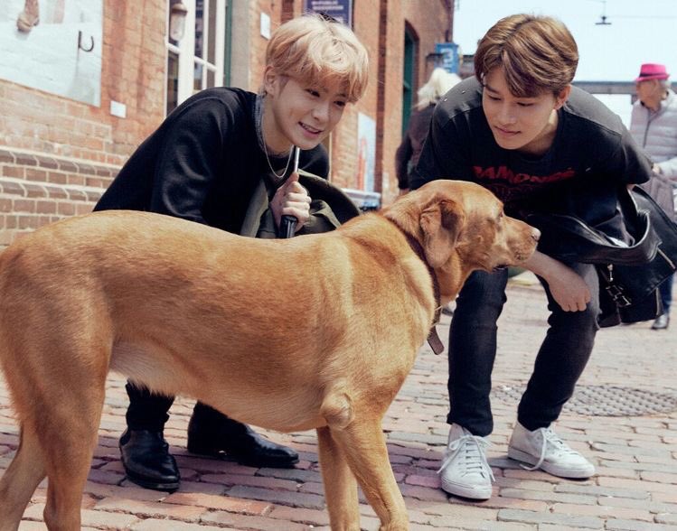 TwitJAETEN's tweet photo. พระจันทร์อันแสงสว่างสดใส เสียงหวานอันทรงไพเราะที่ต้องเป็นเคลิ้มทุกที แทโยมิผู้เป็นดั่งตำนาน มุน แทอิล! สุขสันต์วันเกิดนะคะพี่แทอิล มีความสุขมากๆเลยนะ อาทิตย์หน้าเราจะได้เจอกันแล้วละ! เจ้าแสบเตนล์เจย์คงทำให้พี่ปวดหัวใช่ไหมละคั้บ แต่ก็นะ ฝากดูแลด้วยนะคะ! 

#HAPPYTAEILDAY https://t.co/Y5Azl0SVYr