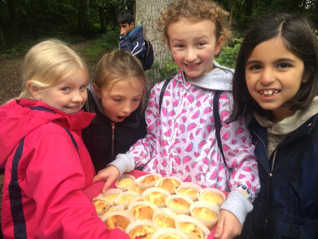 Oak Farm Primary on Twitter "https//t.co/TlnAdvSRGi" / Twitter