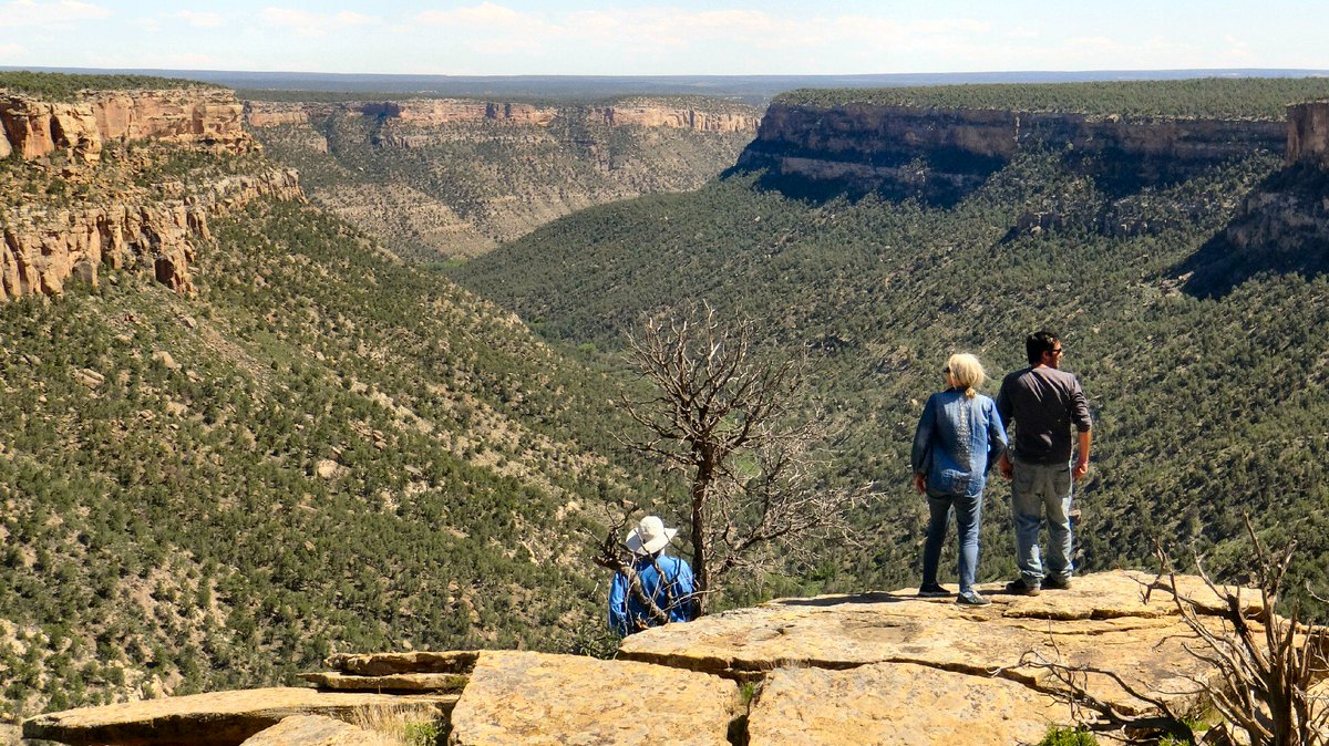 Private guidance sent us to this site where 2 canyons converge just south of #MesaVerdeNP Group 3 from <a href="/Grimerica/">Grimerica - Darren</a>'s #CAC19 included a few daring individuals <a href="/SnkBrs/">Brothers of the Serpent Podcast</a> that ventured out to the deteriorating overlook