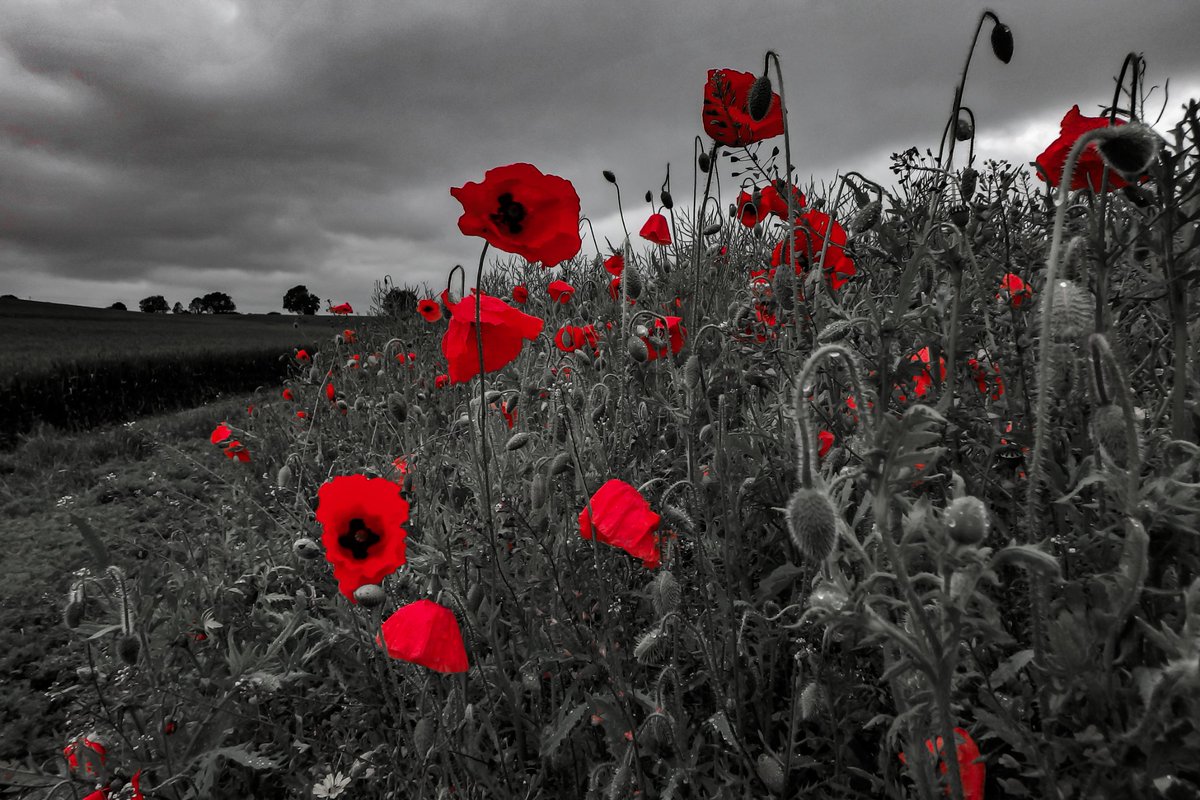 ApertureF2's tweet image. Another summer's day in the Yorkshire Wolds!