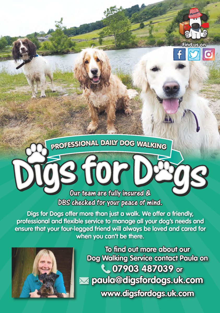 yourlocalbury's tweet photo. PROFESSIONAL DAILY DOG WALKING AT @DigsforDogs
To find out more about Dog Walking Services contact Paula on 07903 487 039 or email paula@digsfordogs.uk.com
#dogwalking #bury #dogs #digsfordogs #localbury https://t.co/rDEn9PWQuX