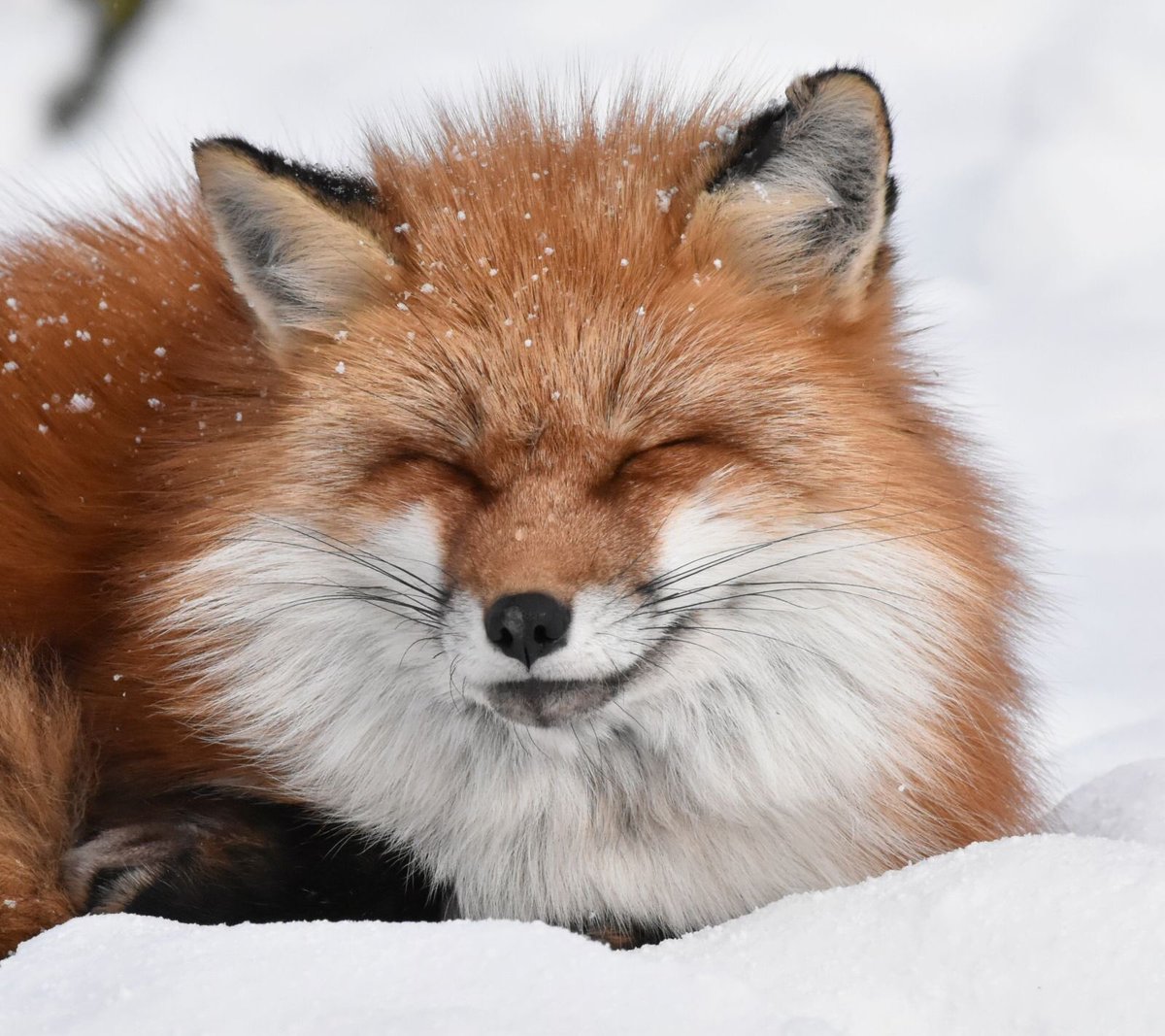 D88BEoyUwAAHFrZ.jpg?format=jpg