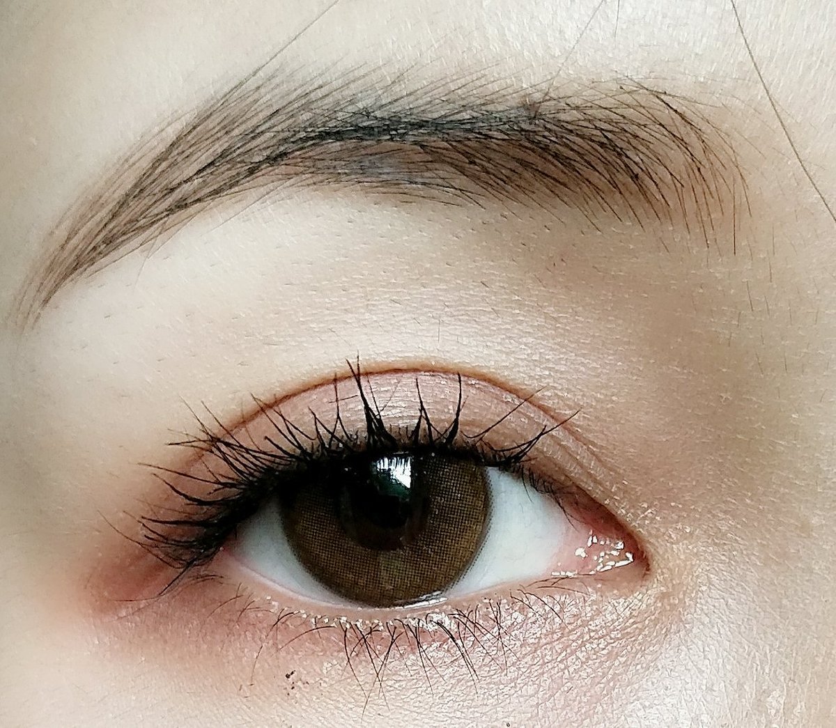 natthareenan's tweet photo. Orchao brown ของ sweety plus ขนาดเท่าตาดำ เลนส์จริงออกน้ำตาลอมส้ม มีประกายสีทองหน่อยๆสวยดี แต่นี่พื้นตาดำเลยออกสีไม่มาก ธรรมชาติอยู่น้าา
#รีวิวคอนแทคเลนส์  #sweetyplus
#ไว้รีวิวห้ามขายของโว้ยย https://t.co/tFwnXAX8UG
