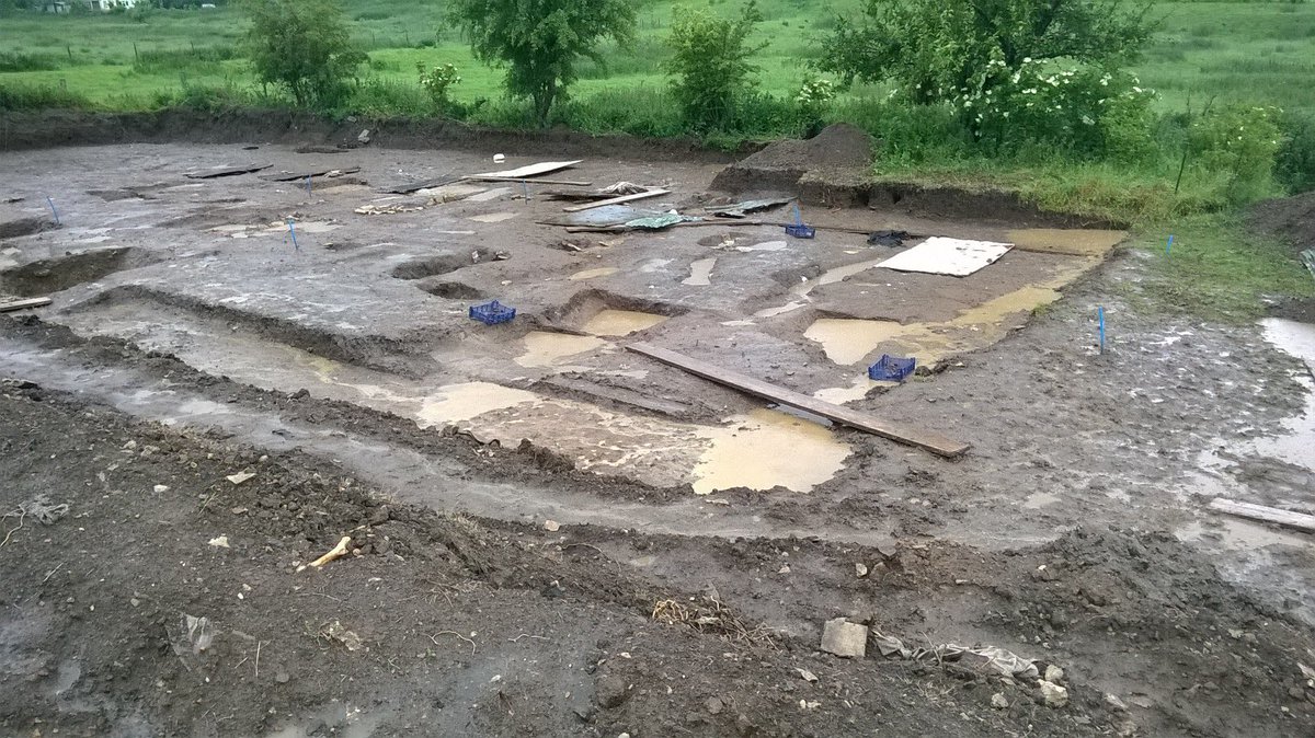 ChesterFarmNcc's tweet photo. It is so wet today that even the sheep are taking cover. We just cannot excavate today. It would mess up the site as well as being dangerous. This weather is so frustrating! #archaeology https://t.co/BuVYV8Vv1n
