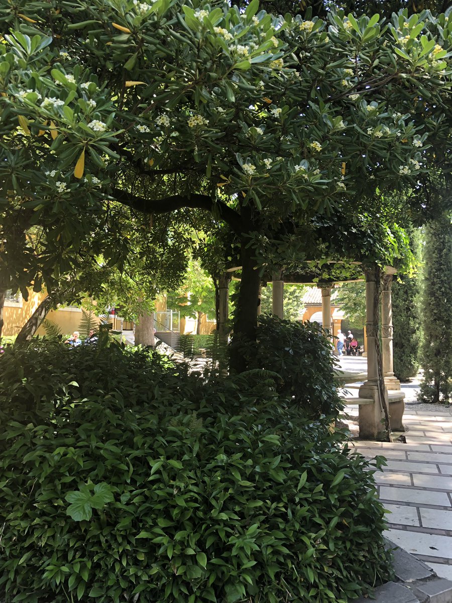 in_eky's tweet photo. @GuggenheimPGC é un luogo che ha un’anima, una colleziona nata per raccontare gli #artisti che per Peggy erano #contemporanei un palazzo che ha una storia incredibile e un giardino raro a #venezia https://t.co/CH5dgXdJcP