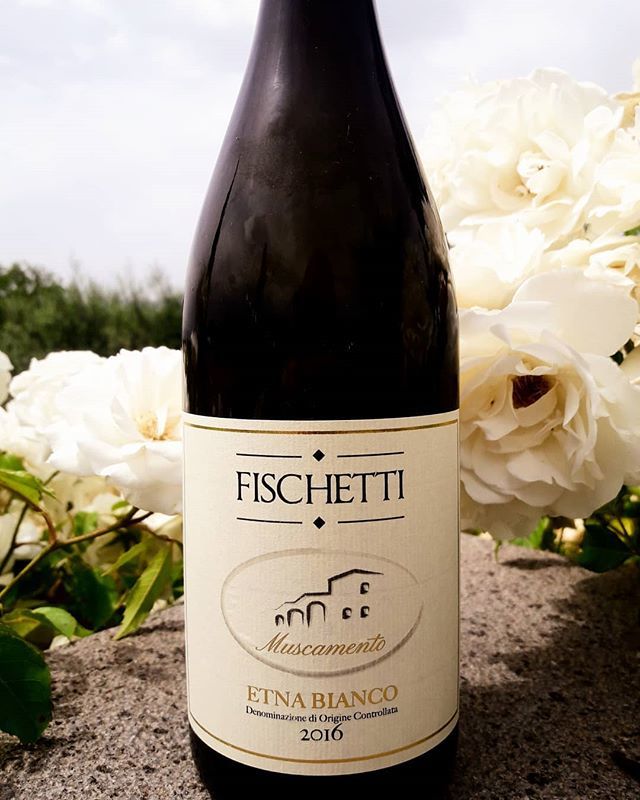 Muscamento etna doc-Fischetti 60% carricante 40% catarratto e alberelli centenari - lavorazione manuale - 1300 bottiglie -
.
.
.
.
.
.
#wine #sicilianwine #etna #vineyard #oldvine #alberello #winetour #winetasting #winelover #sommelier #restaurant #blogger #magazine