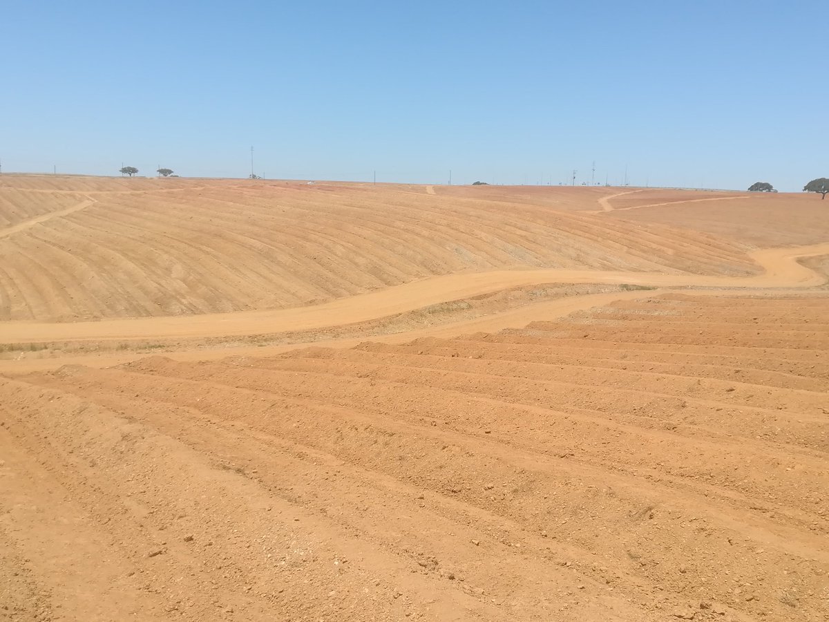 manuel1mgr's tweet photo. Terminando y disfrutando Trindade, Cbh, Portugal. 😲😲🚜🚜 https://t.co/8mu1Zvo7Bm