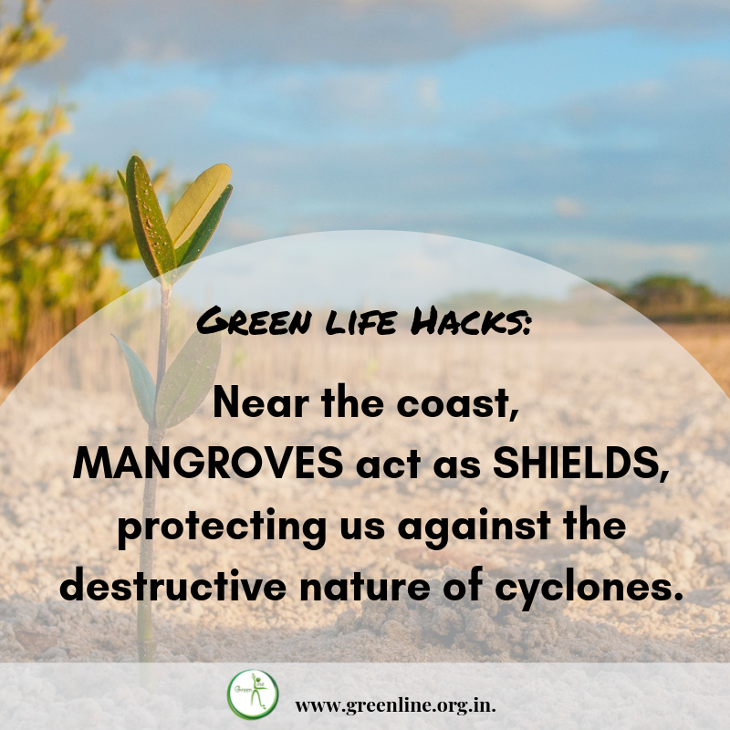 What are mangroves for? Vaayu shall tell⠀⠀⠀⠀⠀
#nomore #smallchanges #itainteasy #theyearofgreen #greenhacks #naturepower #consciouschoices #beatpollution #lowerfootprint #green #greenlifestyle #greenline #dontsuffocateourfuture #FightPollution #OneWorld #SaveThePlanet