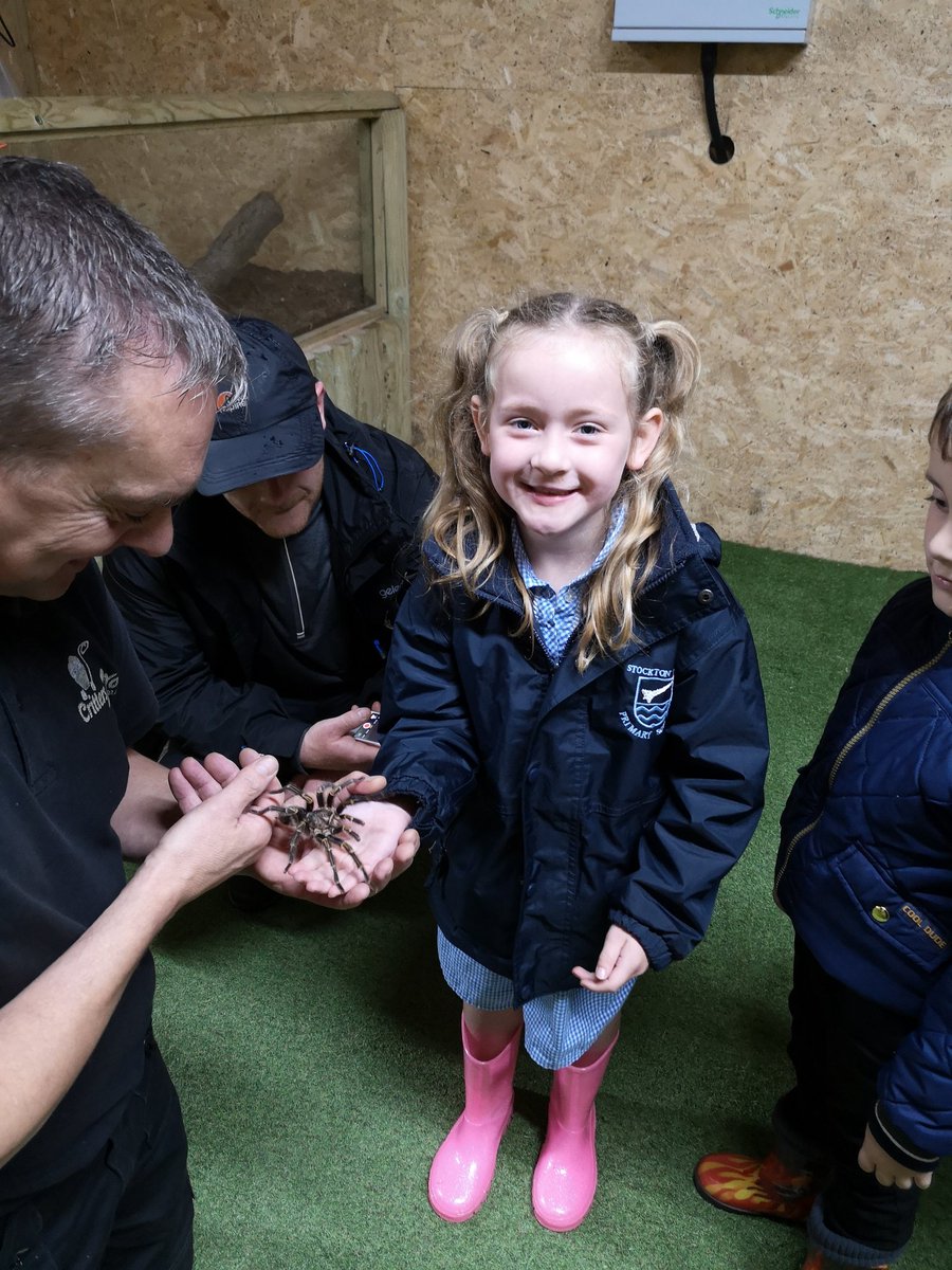 yrstocktonwood's tweet photo. We are having an amazing time at the farm. So far we have fed lambs, goats, and llamas, held a tarantula, a snake and a gecko, and even had our lunch! We are just setting off on our train trip! #windmillanimalfarm #receptiontrip https://t.co/h1PakuSb3w