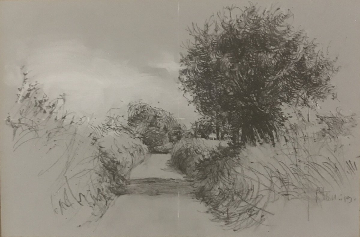 Coombestudios's tweet image. Some of the work at Coombe right now to cheer the soul #isntnaturewonderful #growingcreativity