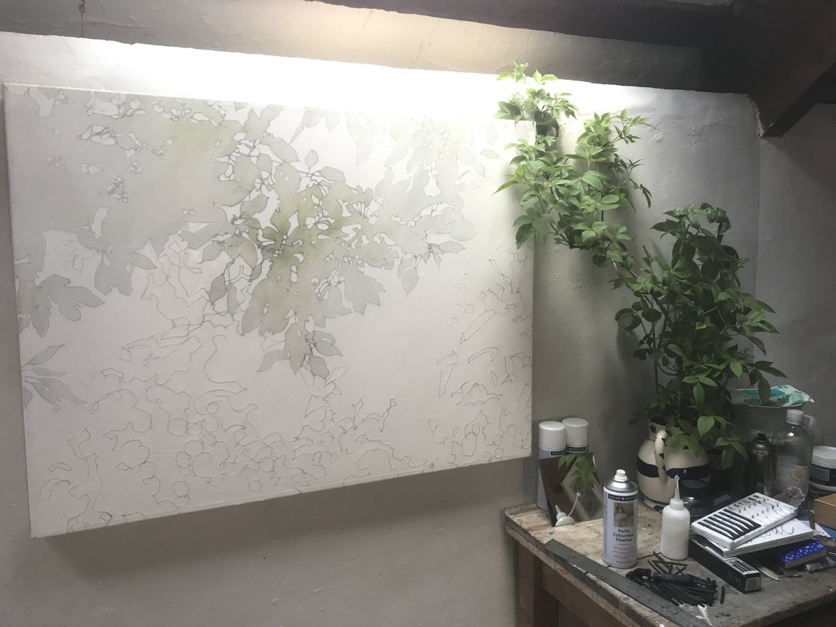 Coombestudios's tweet image. Some of the work at Coombe right now to cheer the soul #isntnaturewonderful #growingcreativity