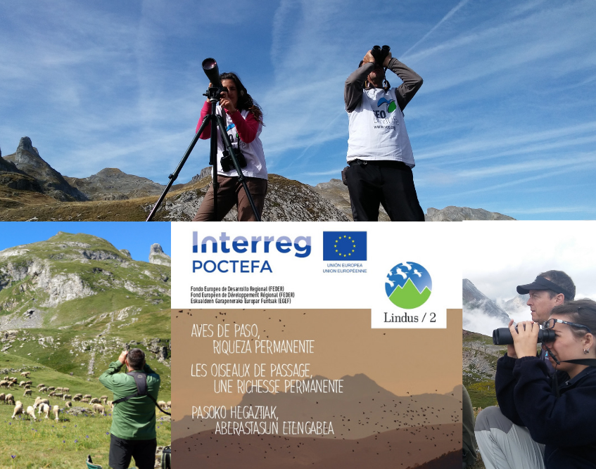 InterregPOCTEFA's tweet photo. 🦅 #Aves de paso, riqueza permanente!🦅
🌴 #biodiversidad, 👩🏫 #educaciónambiental y 🍀#ecoturismo son los objetivos del proyecto Migración en Lindus 2 que estudia la migración de las #aves 🐦que pasan por los #Pirineos 🏔 Ven al ♻ #EcoPiriDay🚮 ese sábado para conocer más! https://t.co/FxYWbYAMJZ