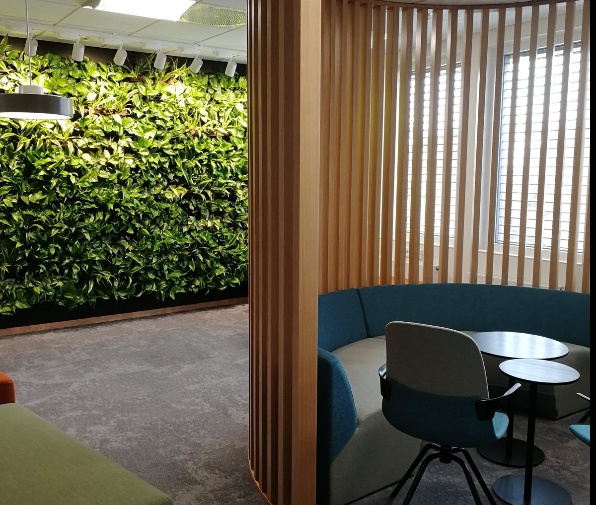 skogluft's tweet photo. Want you and your coworkers to thrive at work? Research conducted by NASA and the Norwegian University of Life Sciences has proven that having plants around you reduces health problems. Contact #Skogluft and for an offer of how to improve the air around you.
#jornviumdal #office https://t.co/ljIB5YamaG