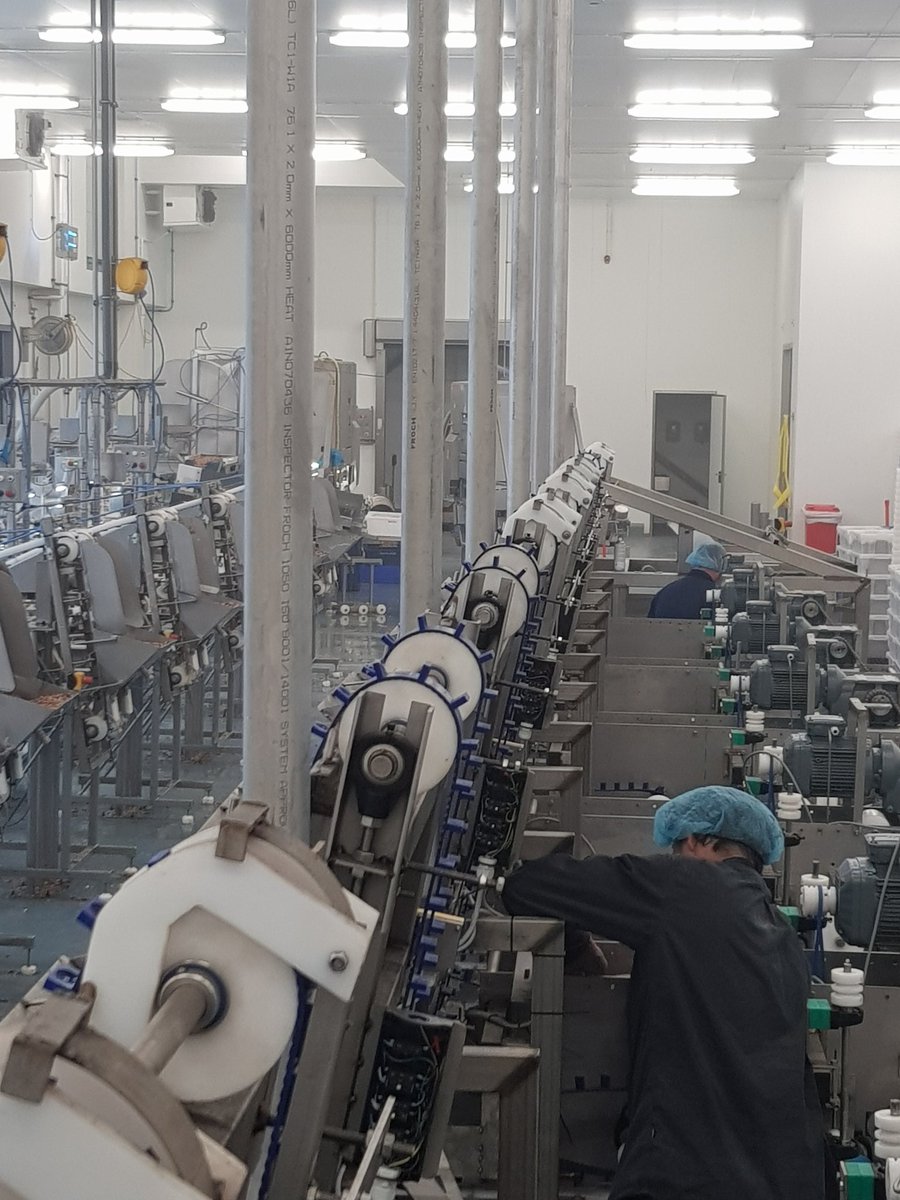 We zijn wat rustig op social media, maar niet in onze productieruimte :)
even een impressie...  #groei #garnalen