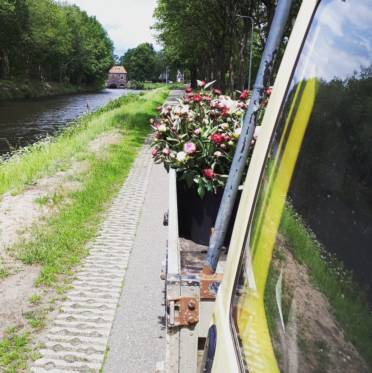 MtsJoling's tweet photo. Pioenen bezorgen....@sda_dwingeloo 
#dorpsfeest #dwingeloo #pioenen #Trotse #bollenteler geschikt door #dochter @boniquejoling #flowers #floweringtheworld 👌 https://t.co/TB5Zaqv6Lq