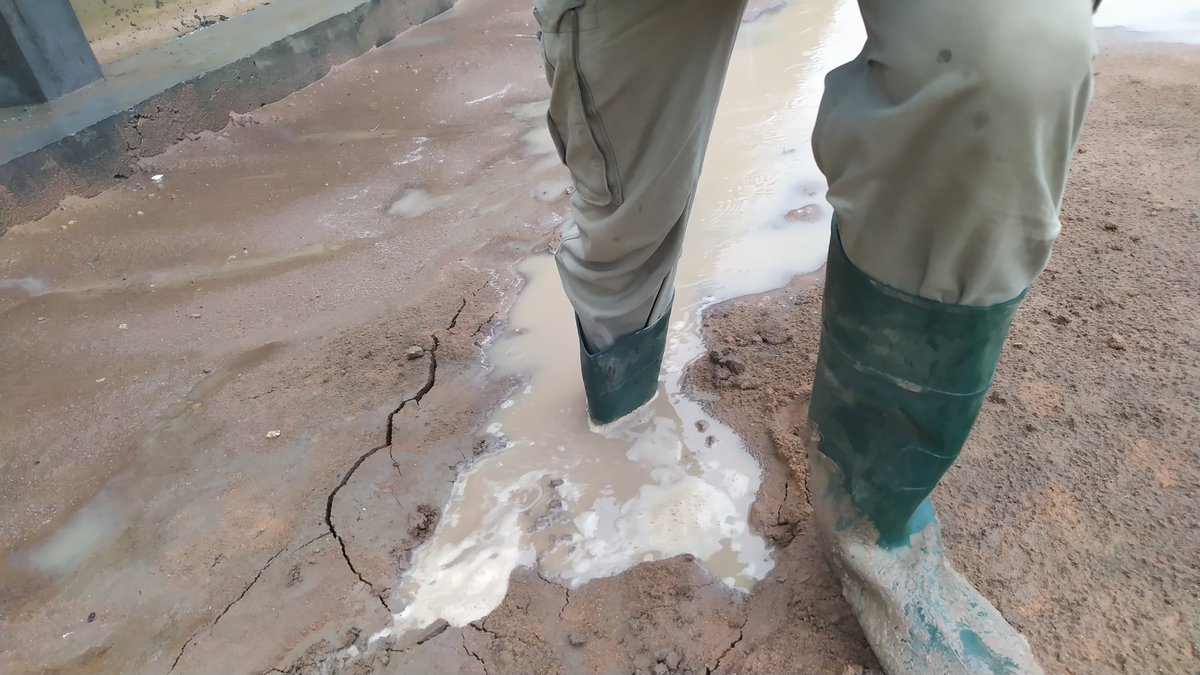 AbdelhamidArg's tweet photo. Qué bien la compactación que clavaron acá sobre los tubos de desagües.
#DealingWith inviables. https://t.co/oiwbP63V8P