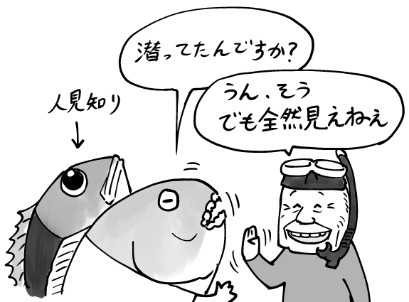 気を付けよう
#魚紹介習慣 #銛ガール 