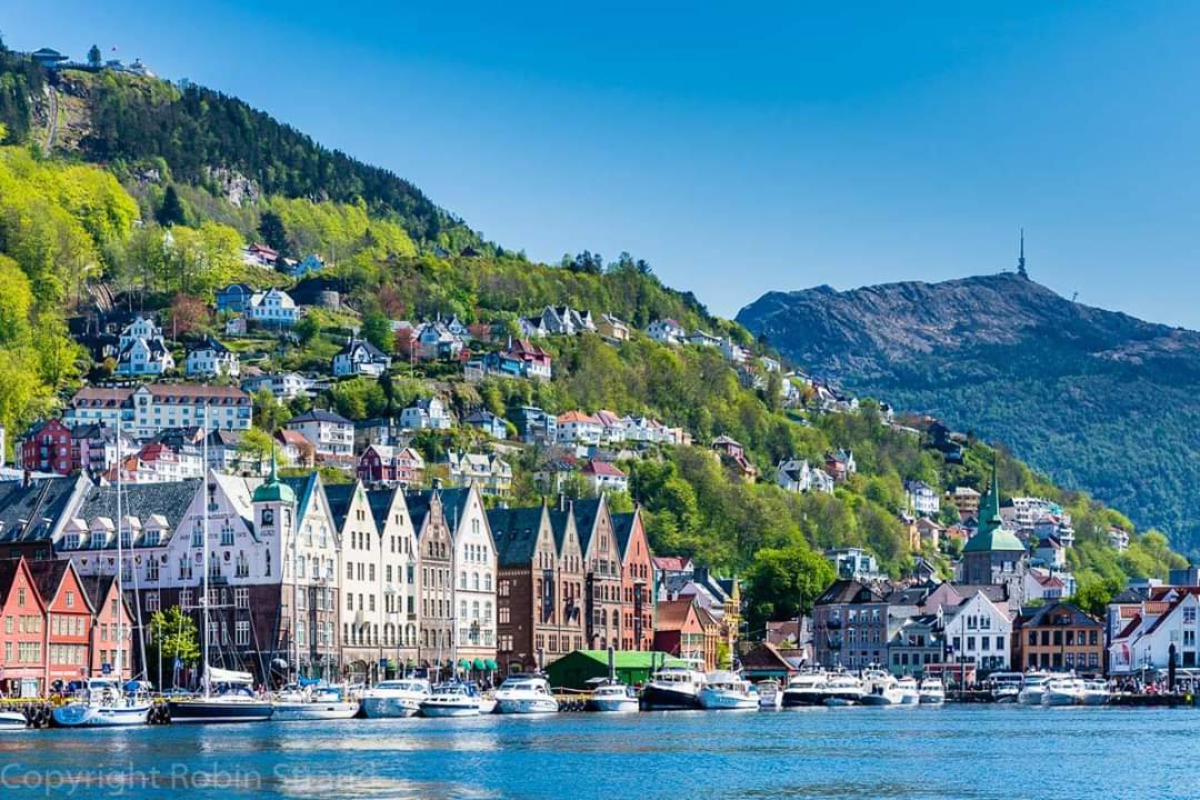 elusive_moose's tweet photo. Beautiful #Bergen 😍 Photo Robin Strand #norway #fjords #travel #photography @visitBergen @fjordnorway https://t.co/kECllNvFem