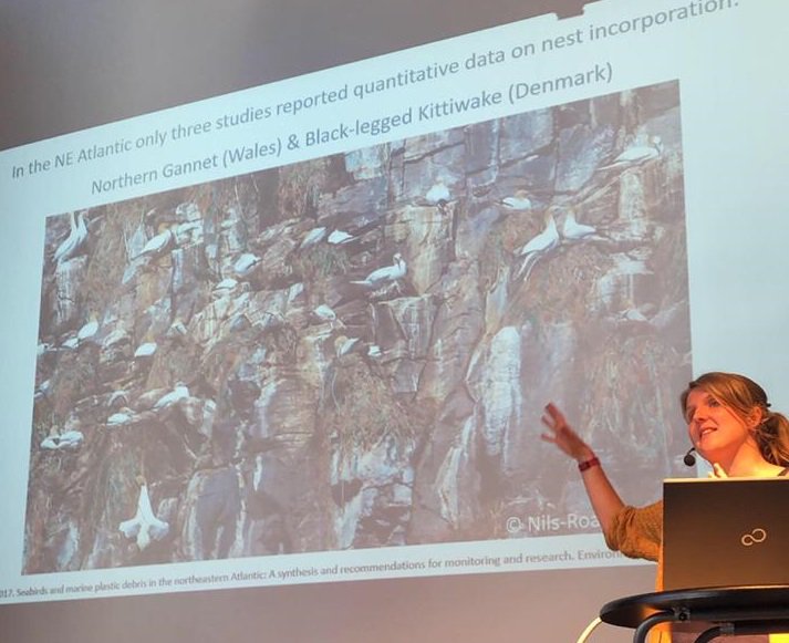 Nina_OHanlon's tweet image. It was great to have the opportunity to talk about #seabirds and #marineplastic to the Faroese Ornithological Society last night!
Thanks @sjurdur for organising!
#ERIresearch @BlueCircular