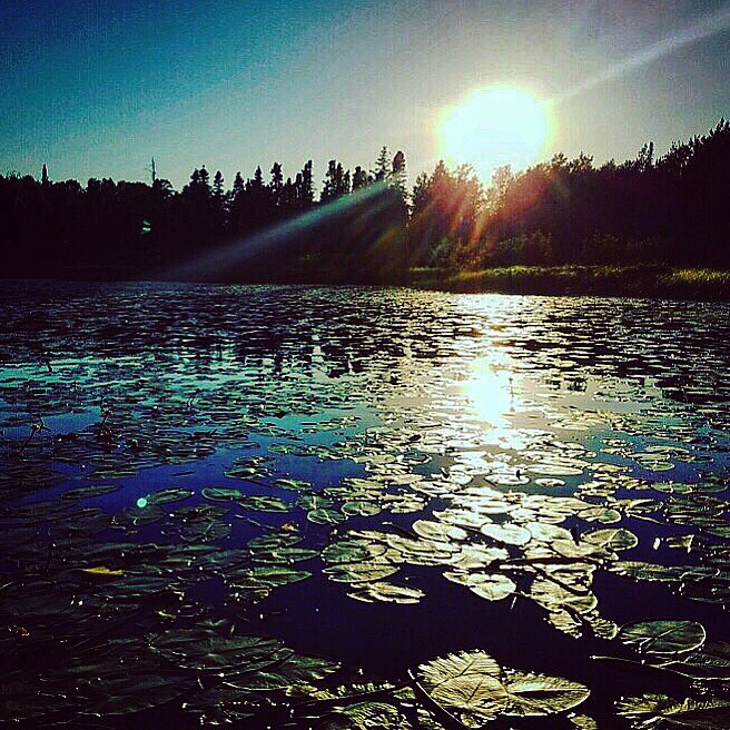🔥Weed bed #sunset walleye fishing. Little slow but a helluva view.  #walleyefishing #kbsfsh #kickbackshack #takeitoutdoors #north #sunset #outdoors #ganderoutdoors #bassfishing #kbs #weedbed