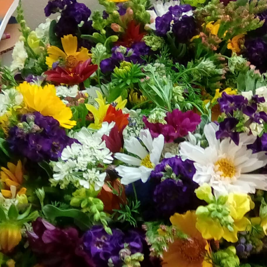 TrexlerFarmMkt's tweet photo. Looks like a beautiful day at the Market! - https://t.co/CxUOYOcsJC https://t.co/thIyfBzqCN