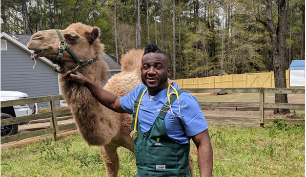 gpbnews's tweet photo. This year, two Georgia veterinarians will star in a reality show on @NatGeo.

'The Critter Fixers' will follow the lives of doctors @drhodges and Terrence Ferguson. Both run and operate Critter Fixer Veterinary Hospitals in Byron and Bonaire. https://t.co/AsrWrK6I1f via @OSTtalk https://t.co/160WwG7QND