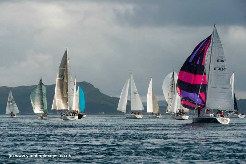 whyweek's tweet image. Bluejay returns for another year.
#whyw