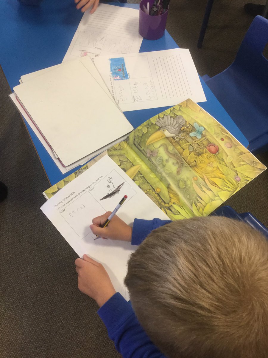 SimpsonsLane1B's tweet photo. In shared reading today we are being detectives and finding wildlife in the new forest in ‘the tin forest’ @SimpsonsLane https://t.co/hQoMBuPe4f