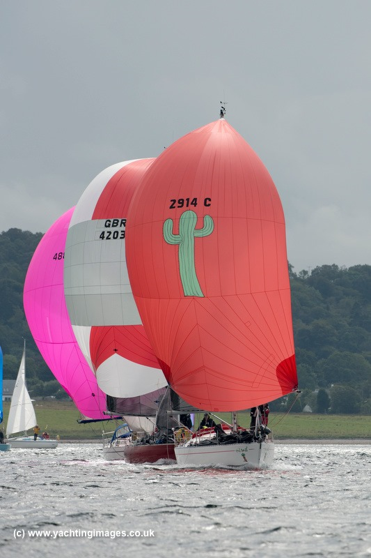 whyweek's tweet image. We will be seeing Cool Bandit 2 on the start line this year
#whyw