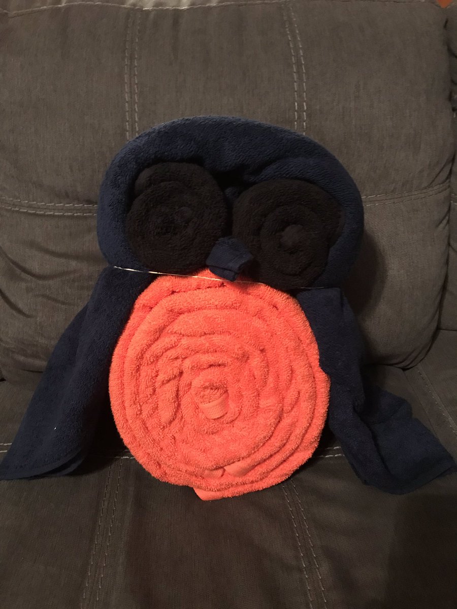 Teacher appreciation gifts!  Triceratops for that RAWRsome teacher.  Owl for the one WHO knows best!  #imthatextra #towelorigamiinspired #teacherappreciation