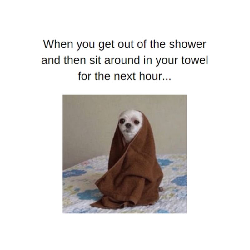 salamanderpumps's tweet image. Tag someone who does this…