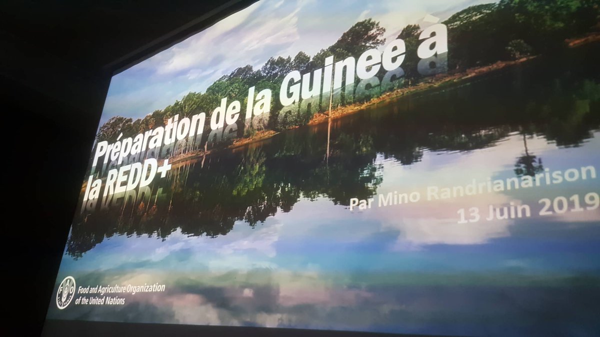 PRONGAfrique's tweet photo. La @FAO Guinée mobilise les acteurs pour redynamiser le processus REDD+ en Guinée. @PRONGAfrique est associée au processus. #REDD+ @FAOWestAfrica @FAOGuinee https://t.co/oC8ITSv5JS