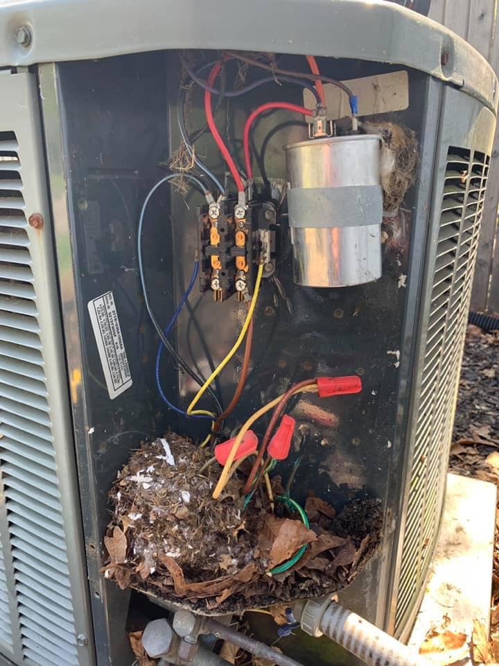 Service_Mark's tweet photo. Would you rather have a mouse nest hotel or an A/C system that runs properly? Book your $59 A/C tune-up today and avoid chewed wires and unnecessary repairs. Call: (302) 339-8236  #hvac https://t.co/VIYOOpwNPU