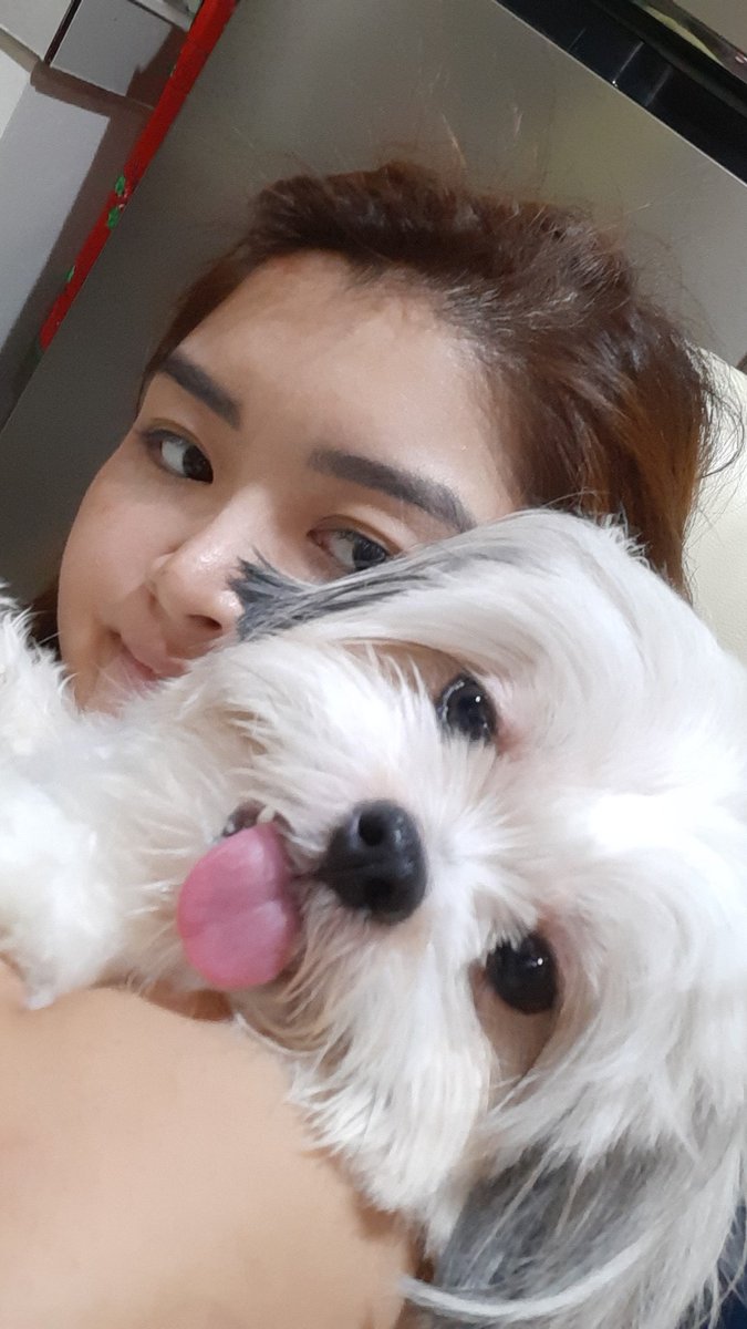 arahvirtucio's tweet photo. Inututan ako ni hersheys. Ang lakas ng tunog 😂😂😂 https://t.co/RPpBOUtzlZ
