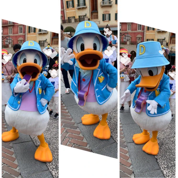 修羅場前にアヒル界の推しに元気貰ってきました?こちら可愛いポーズしてと声掛けたらポーズしてくれたドナちゃん 