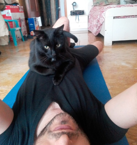 Penpusher_Cat's tweet photo. Il mio personal(issimo) #trainer dice che basta così: e i suoi occhi di #gatto parlano chiaro...#13giugno 😼 https://t.co/dP0cDsMaqt