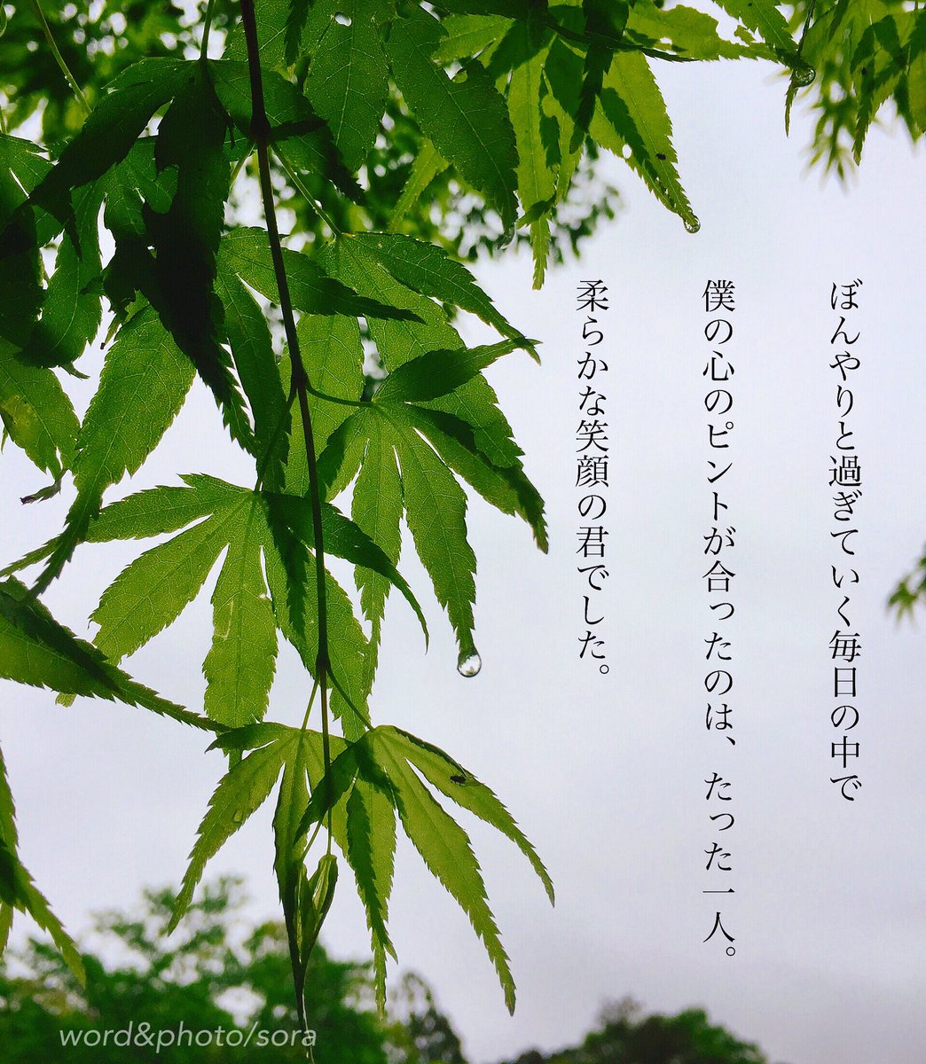 ソラ Auf Twitter このまま 君が 僕の毎日にずっと居てくれたらいいのに 一目惚れ 恋のはじまり ときめき 雫 新緑 空 ソラ ソラからのラブレター Sora 恋愛ポエム メッセージ 恋愛 恋 Poem ポエム 言葉 名言 恋詩 詩 恋空 T Co