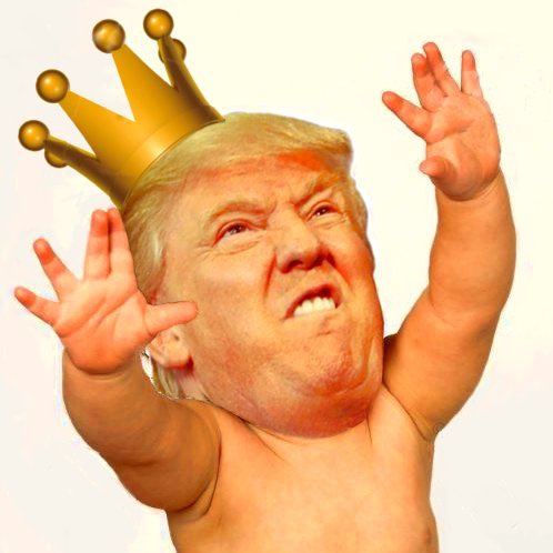 MeganKelleyHall's tweet photo. @realDonaldTrump Prince of Whales?
Prince of Wails? 

Have you turned spellcheck on yet? https://t.co/BD2wMzxL2B