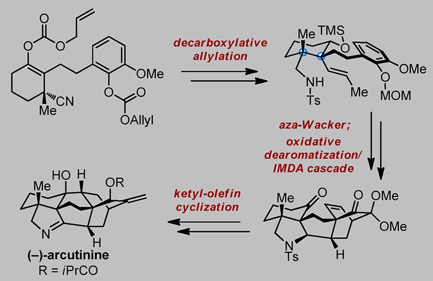 Total Synthesis tweet media