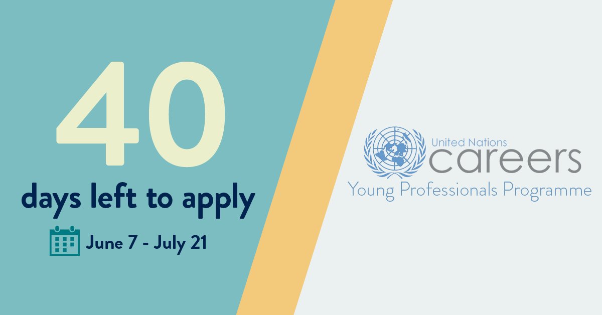 UN Careers tweet media
