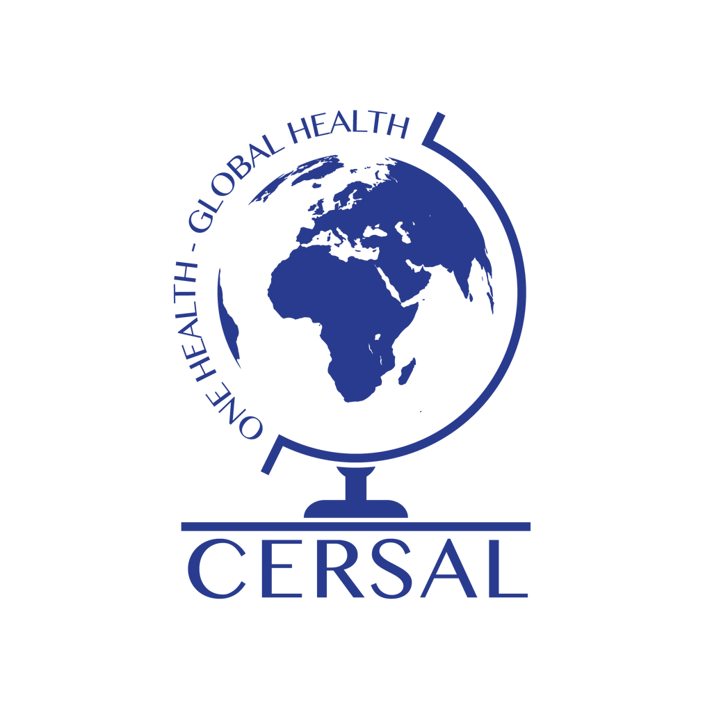 CSCOrvieto's tweet photo. Corso ECM “Approccio BioPsicoSociale nella Salute Mentale” https://t.co/IeJaOP93Mo https://t.co/4UX1iy8Bgz