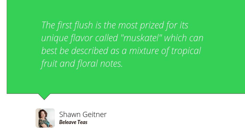 "When brewed, the teas are known for their robust, malty flavor that makes an excellent morning cup and can support a splash of milk." lttr.ai/DxYV #AssamTea #BlackTea #Tea