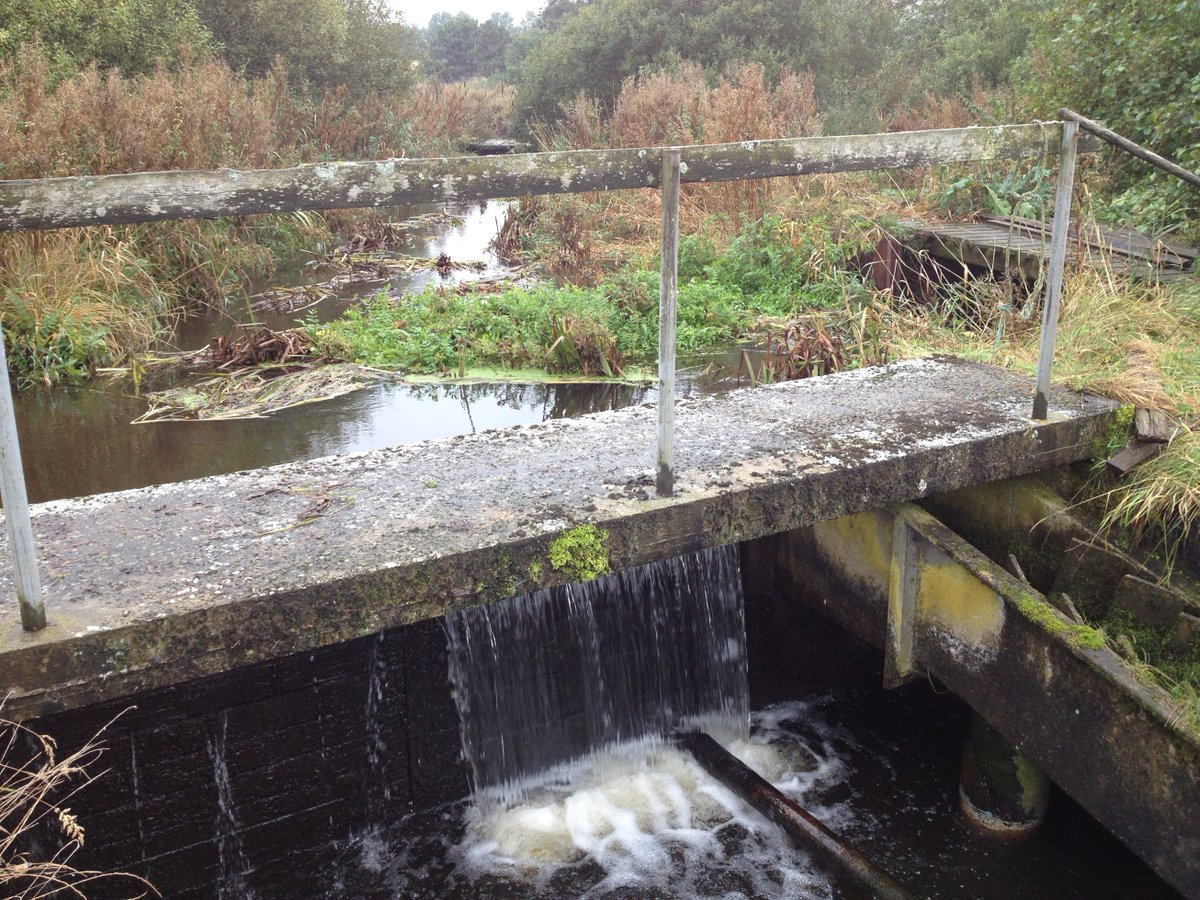 ProfJGrey's tweet image. Big or small, barriers in rivers have an impact on #habitat, #geomorphology, #fishpassage. Ardent fish finatic @kbg_conserv takes over @WildTroutTrust #WTTBlog with a reality check on barriers: wildtrout.org/wttblog/a-real…
#LetItFlow @fishmigration @AMBERtools
