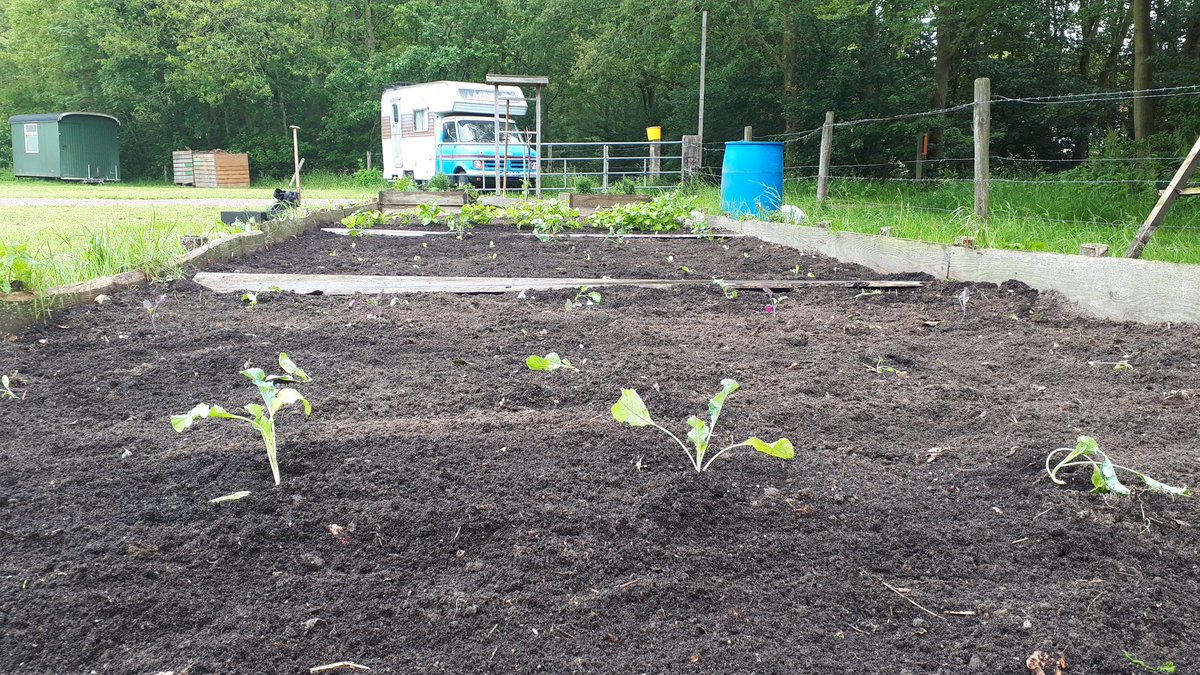 De Groengroep tweet media