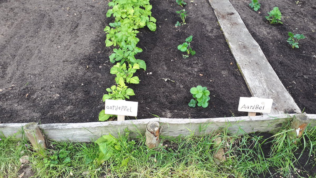 De Groengroep tweet media