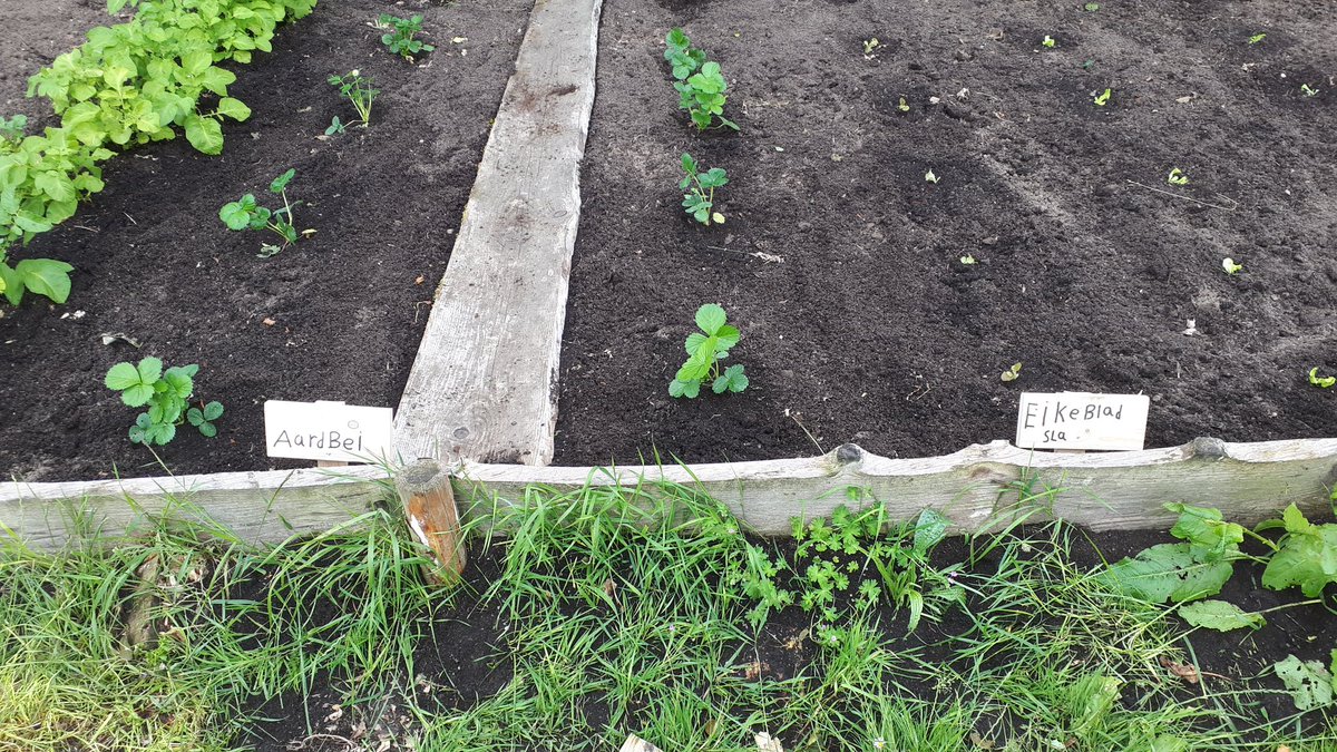 De Groengroep tweet media